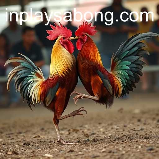 Inside the World of Sabong Games and Inplay Dynamics